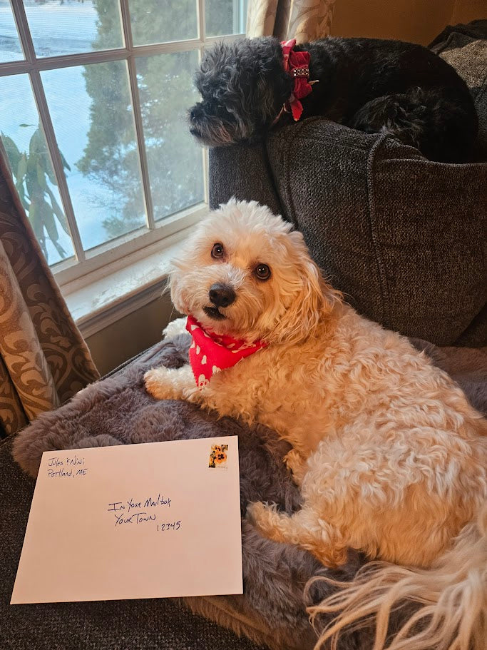 Jules & Nini — Monthly Parcel